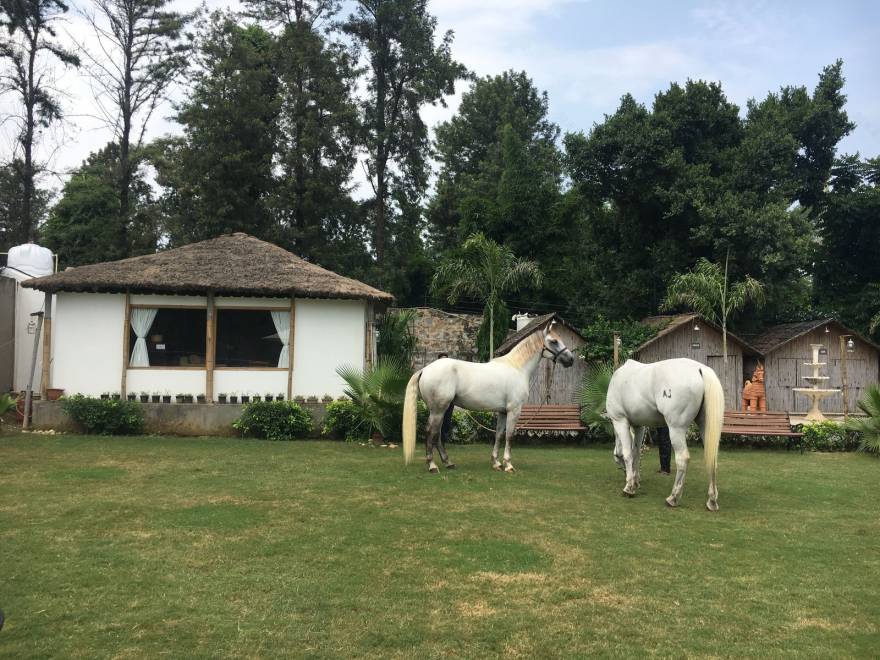 探索全球特色农场度假屋,告别城市生活-20