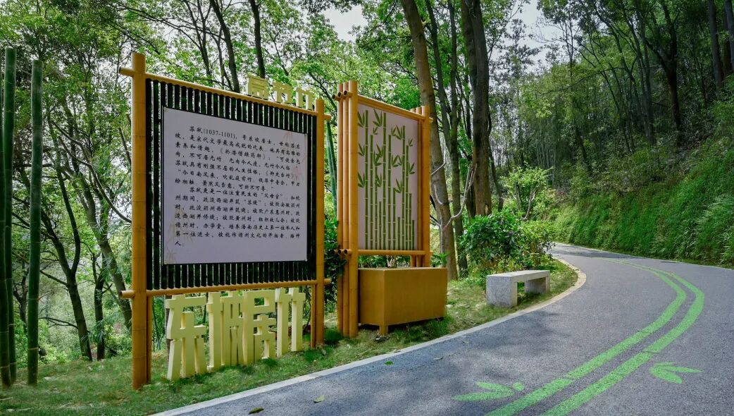 广宁竹海公园|构建绿美竹韵之路-57