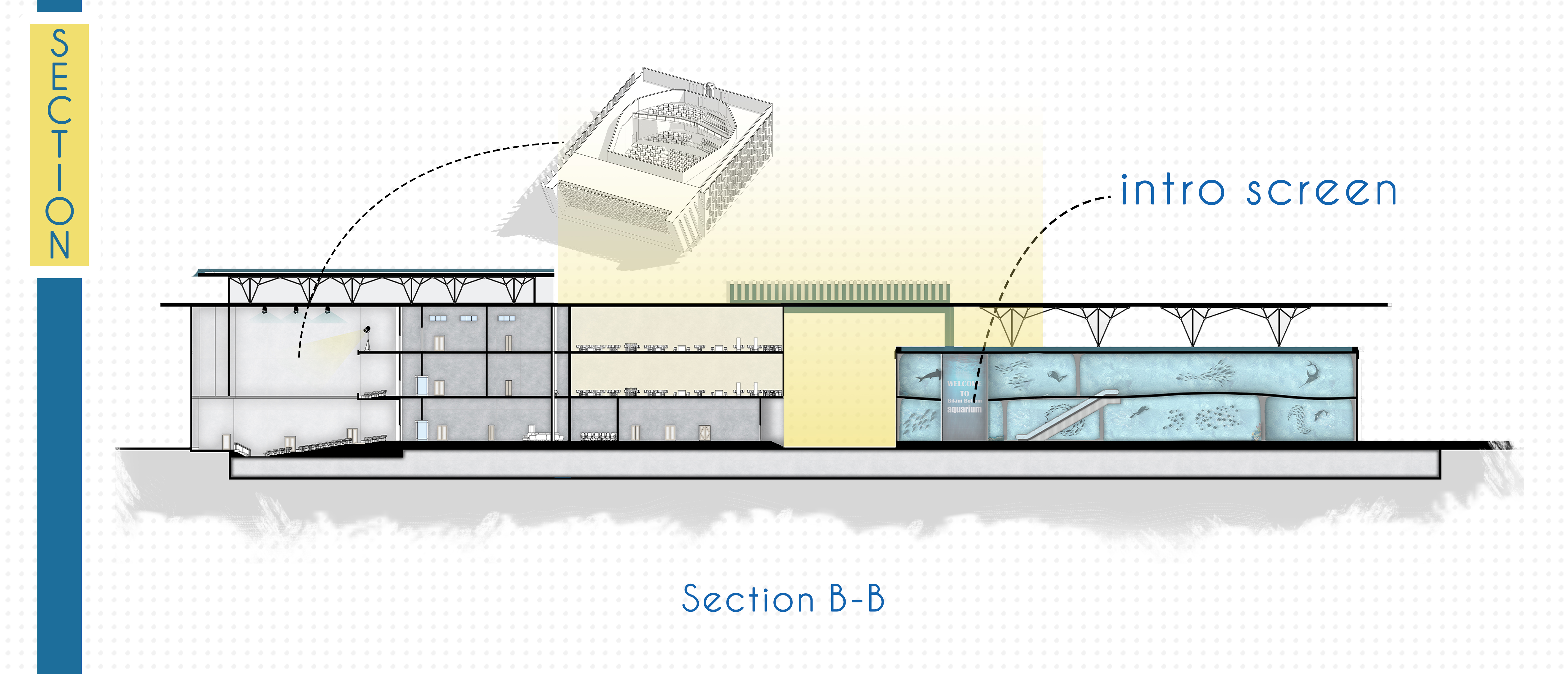 Sherlock | Aquarium Project-10
