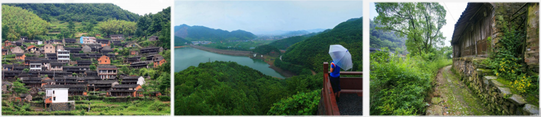 坐落千年古镇，横溪菜场改造升级，新中式田园风刷新菜场“高颜值”！-100