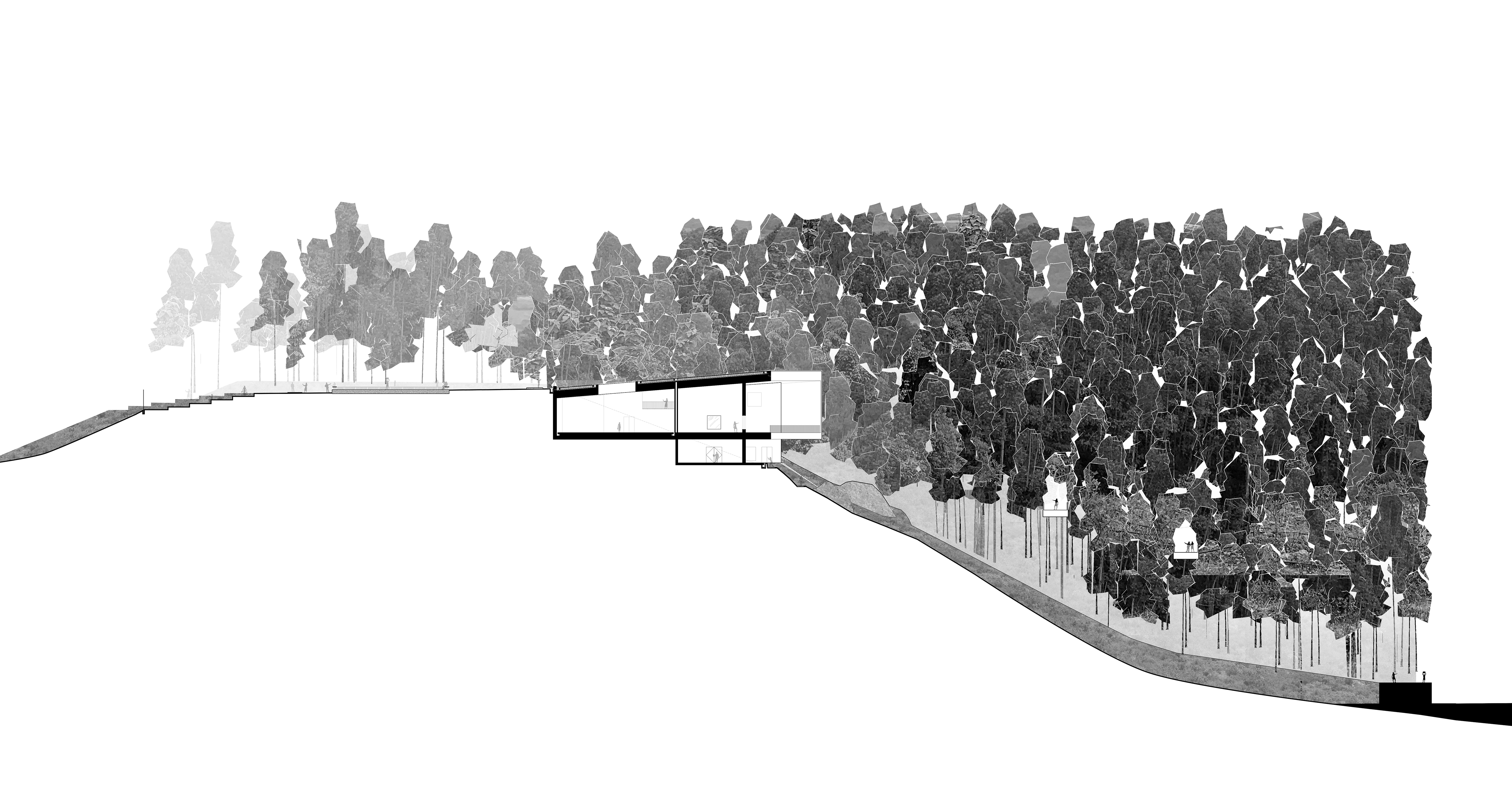 迷山艺术中心丨中国桂林丨CPLUS-52