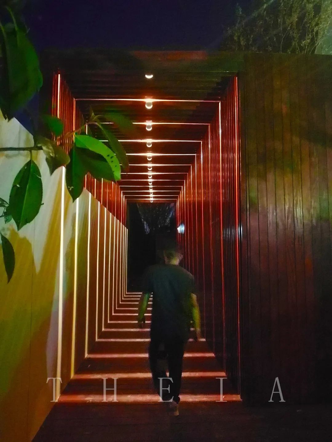 迪赛·东篱 | 闲田信步，采菊东篱-46