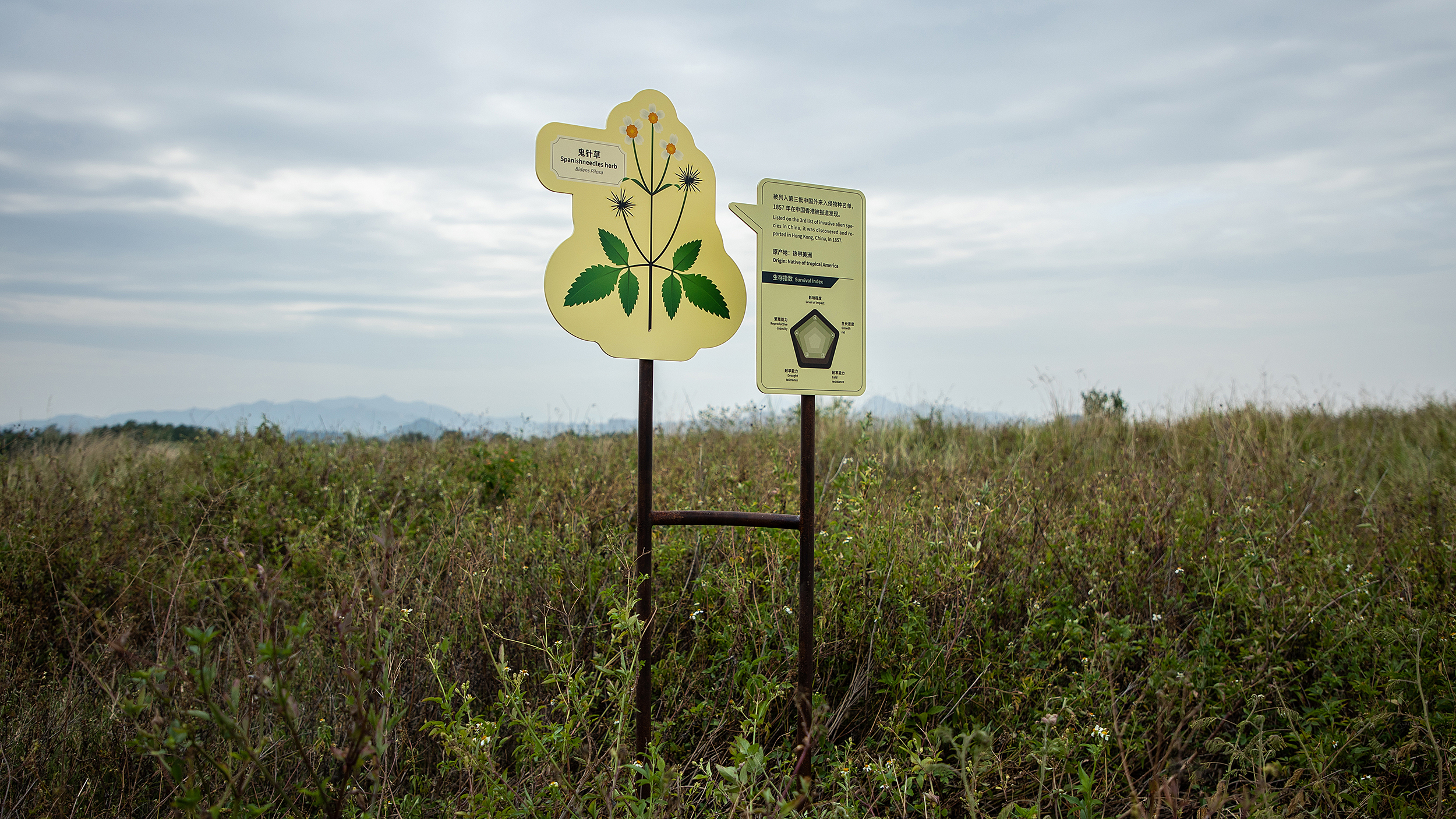 深圳红树林生态公园户外科普互动导视设计丨中国深圳丨共生领域(北京)文化传媒有限公司-24