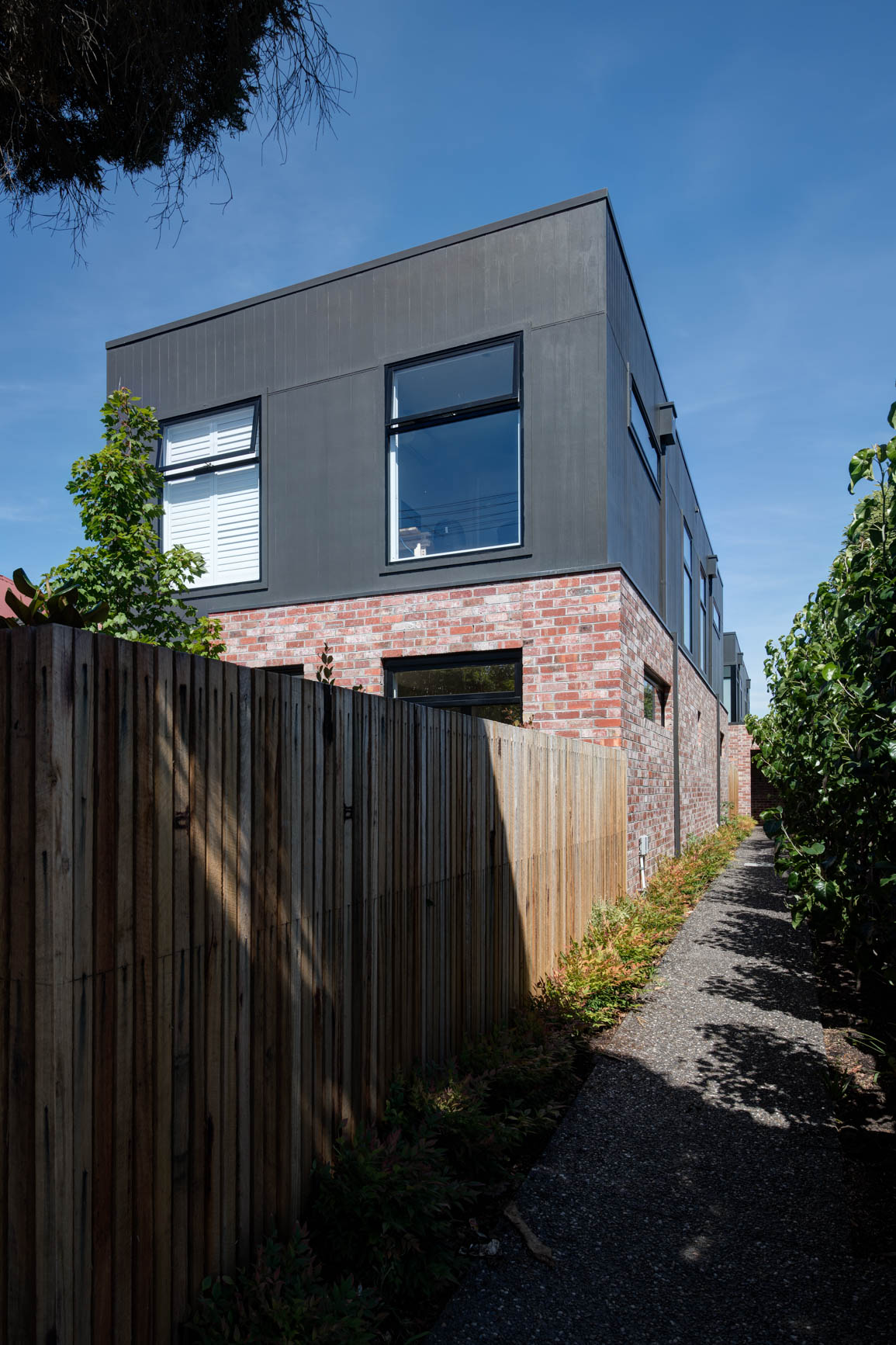 _The Stand_Kew Taylor Pressly-14