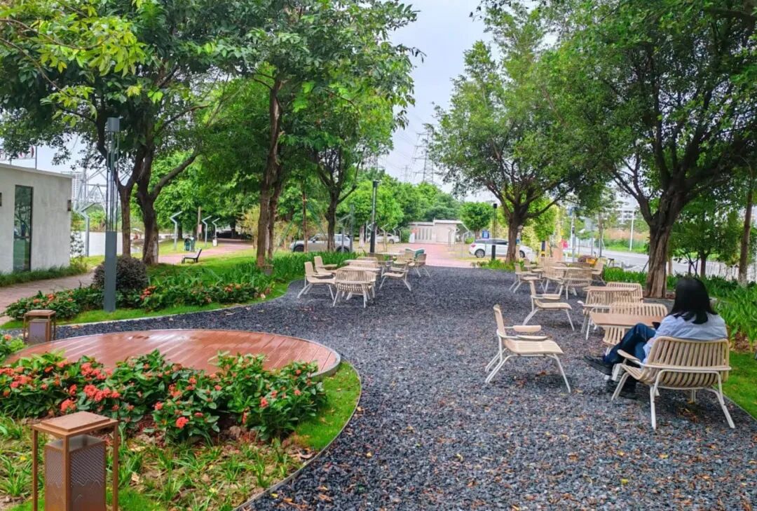 新闻|思朴设计状元书吧项目荣获YSS2025国际设计金奖！-21