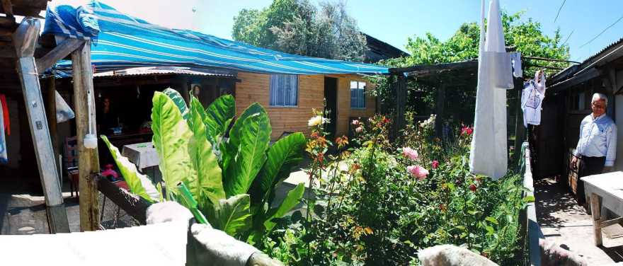 丨智利丨Zoohaus-7