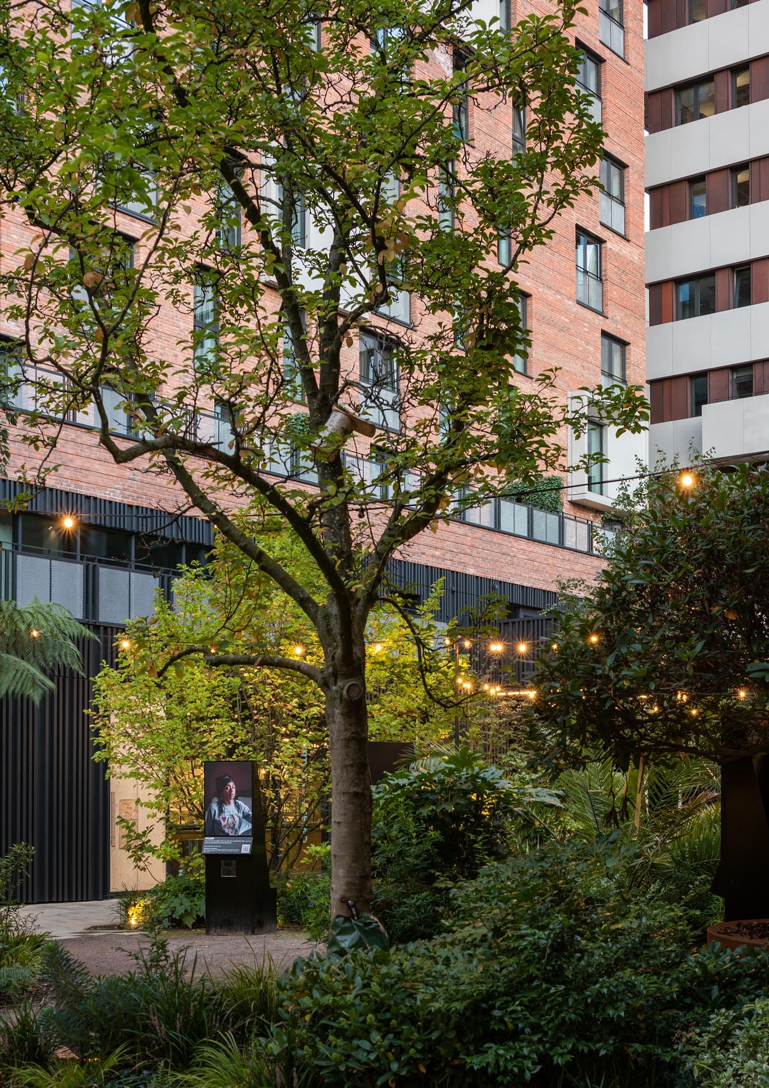 丨英国曼彻斯特丨Mecanoo（设计,景观）,Shed KM等-25