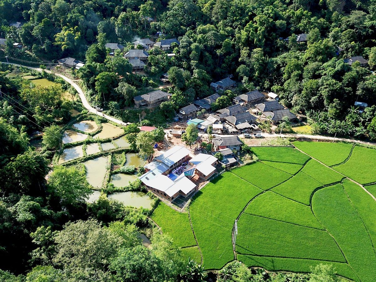 森林中的学校 · 1+1>2 建筑事务所打造独特学习环境-26