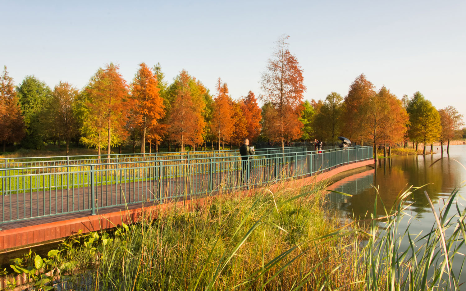 嘉定石冈门塘湿地公园-28