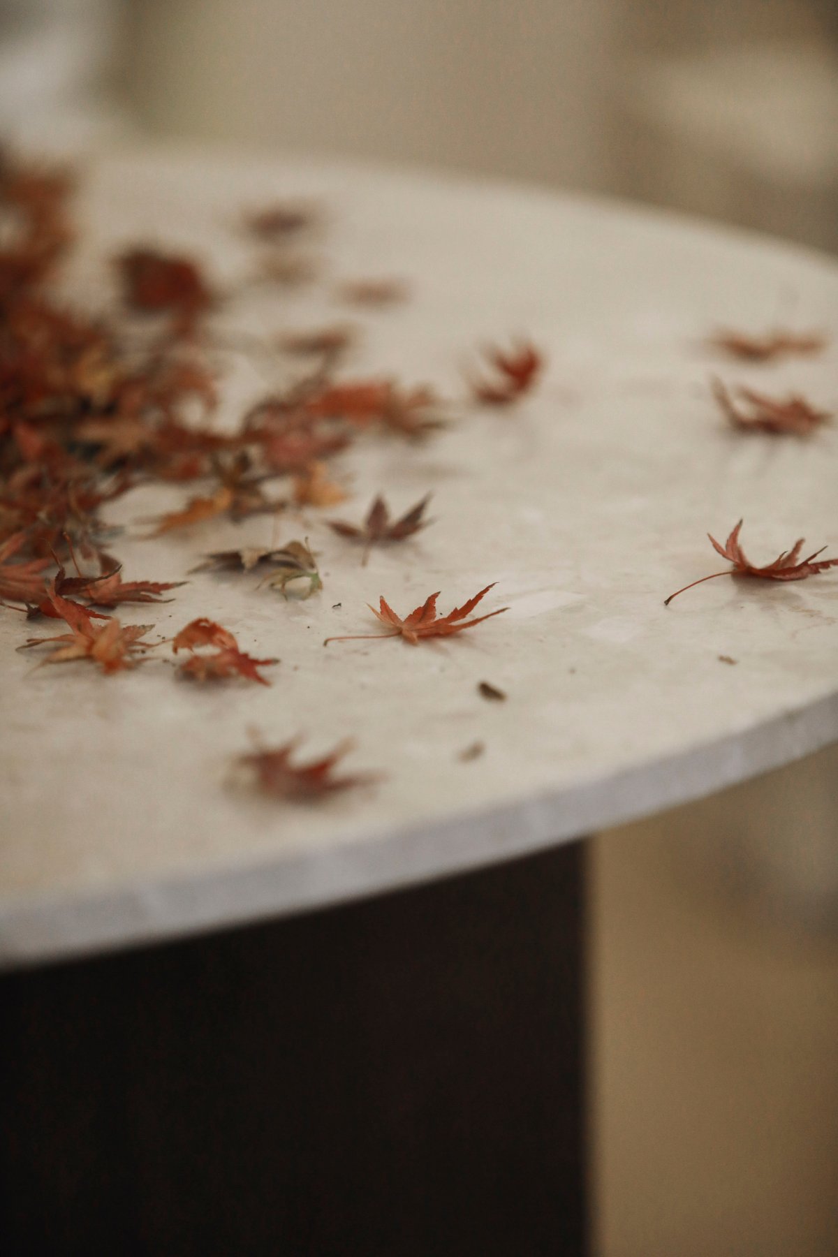 中国首次家居概念展览「一室,一世界」丨中国成都丨Audo Copenhagen-18