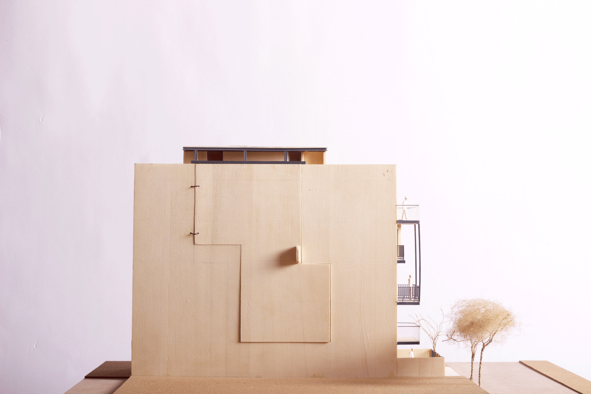 叠加式房屋丨印度新德里丨Studio Lotus-42