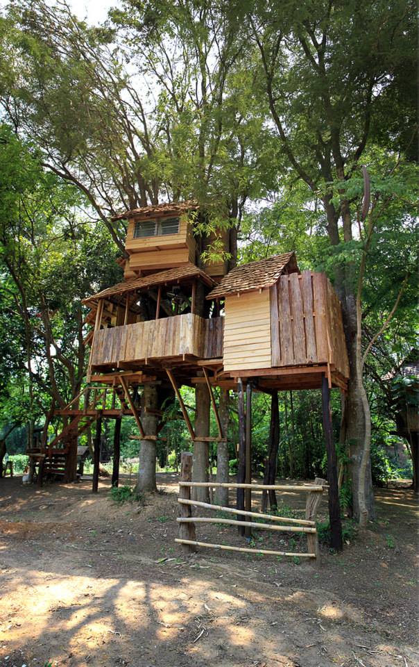 两层树屋（Treehouse）-16