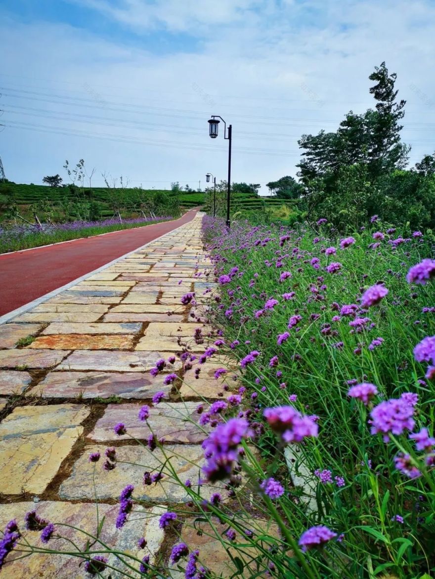 穿过喧嚣 走进时光·来高淳东坝看美丽乡村-11