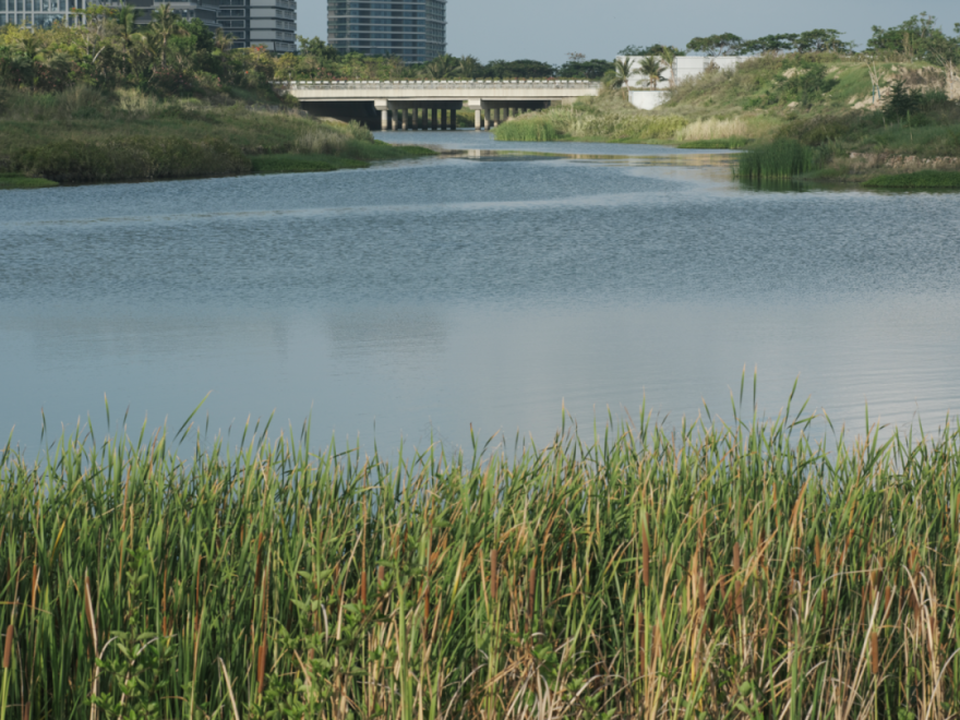 三亚崖州湾科技城通海公园五区丨中国三亚丨成都麦微景观建筑事务所-18