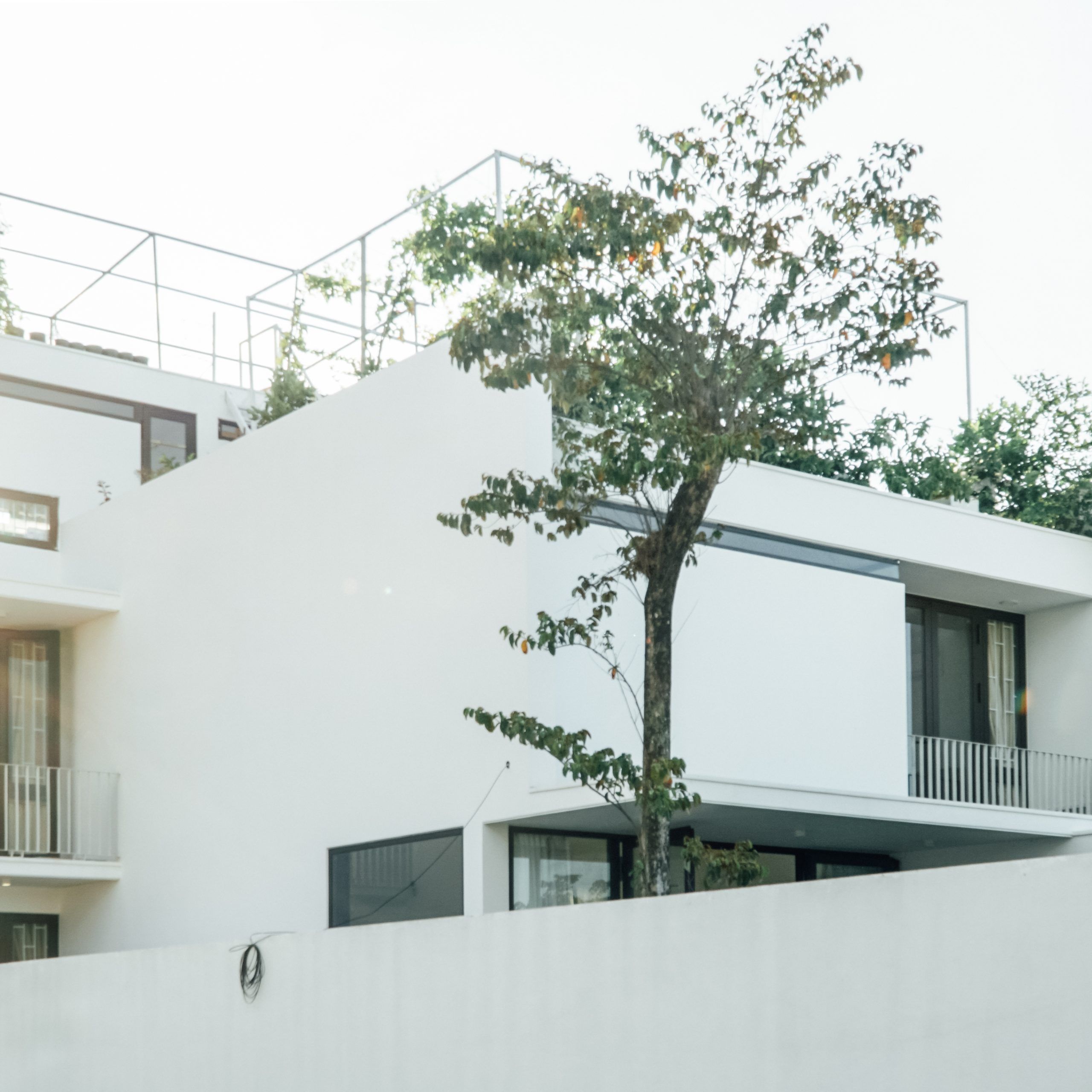 绿意盎然的四口之家-13