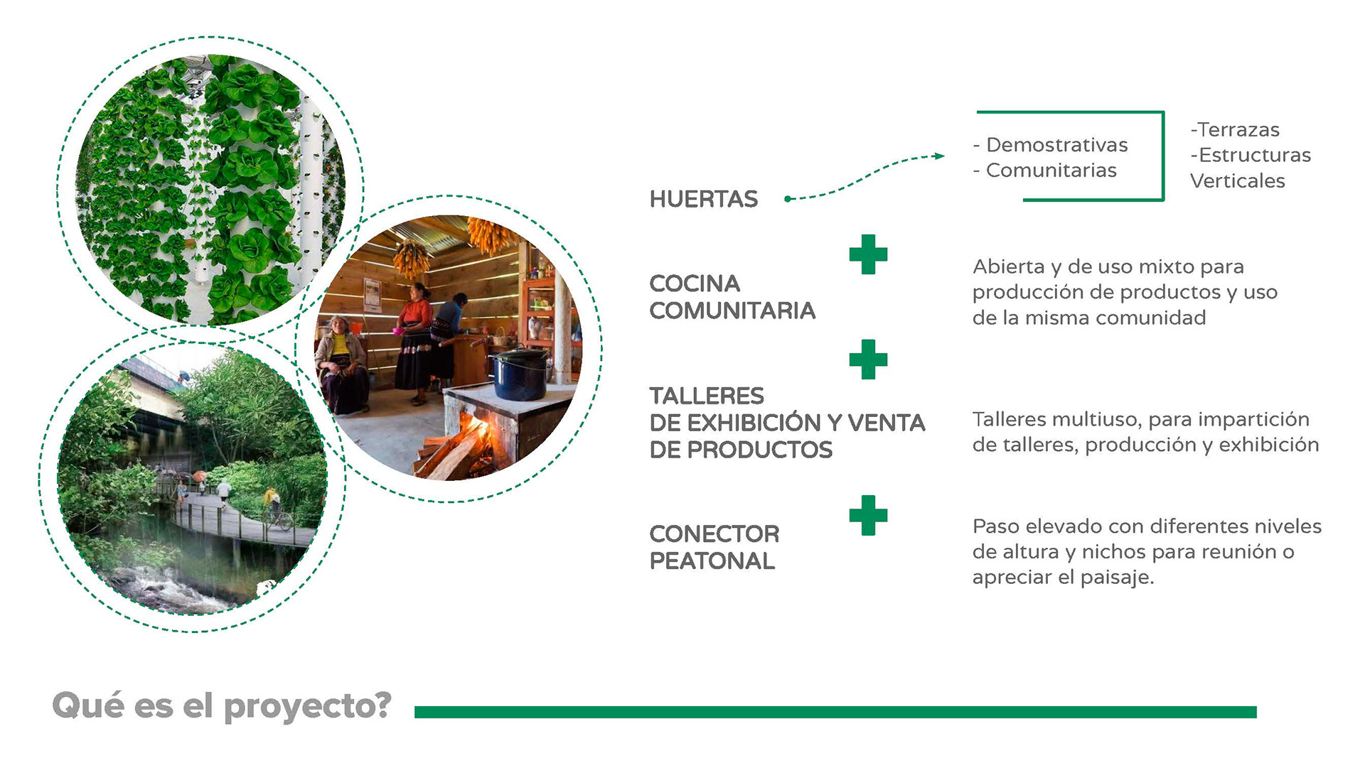 城市菜园丨哥斯达黎加圣何塞-8