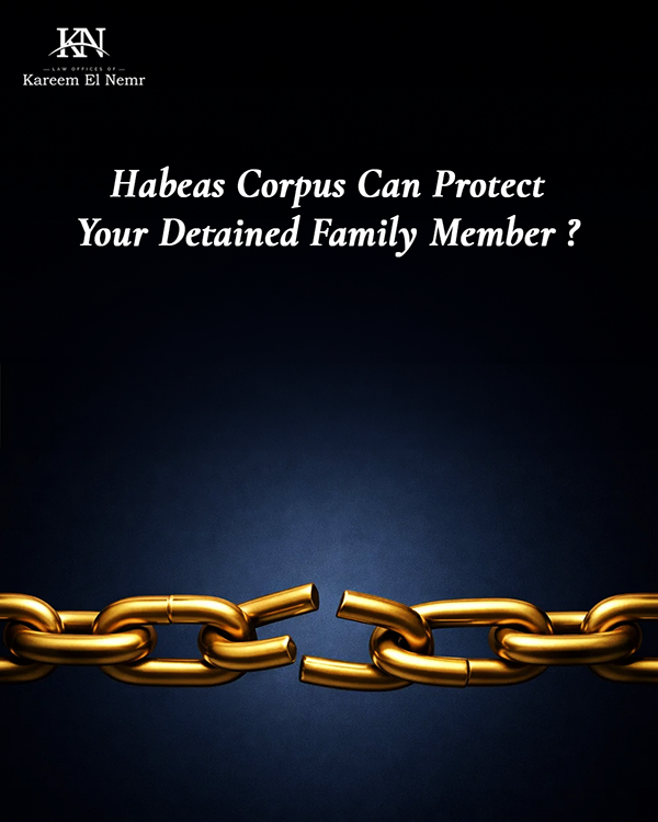 Immigration Law Branding & Content Design-8