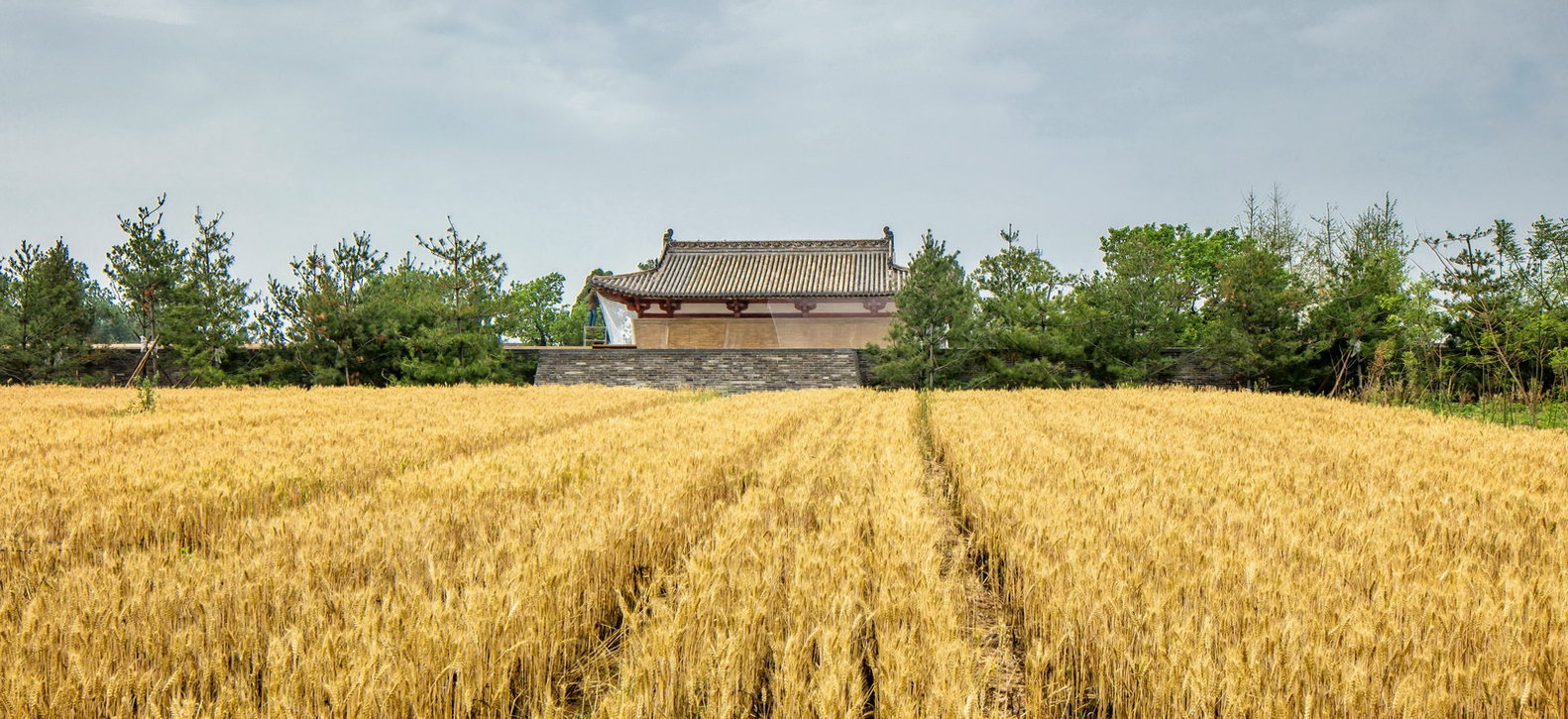 五龙寺环境升级 | 古庙新生,遗产焕发生机-24