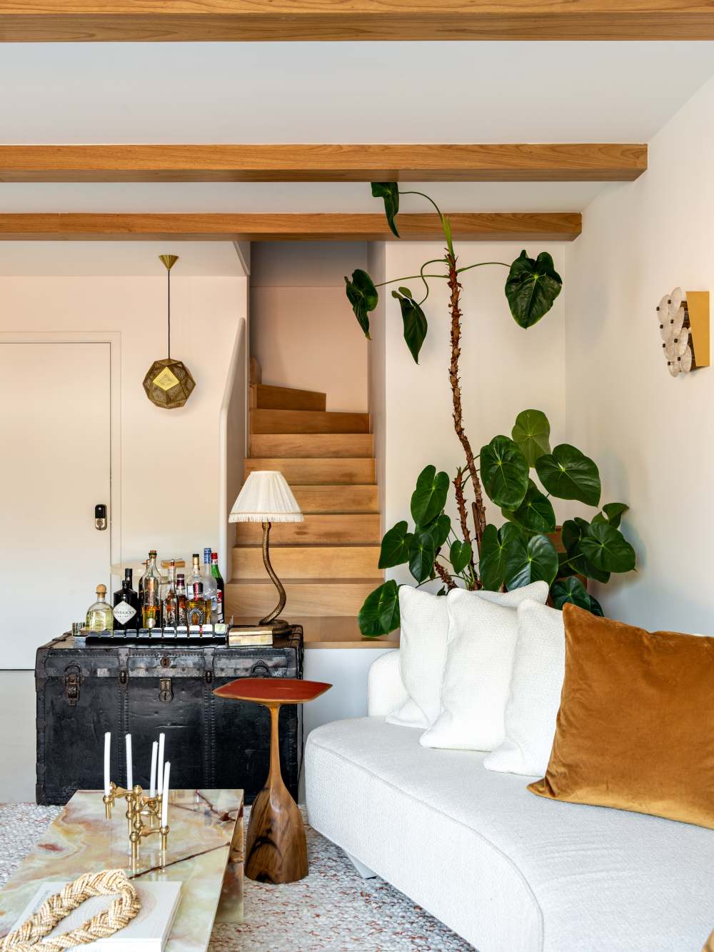 巴西设计师打造现代温馨家庭空间-4