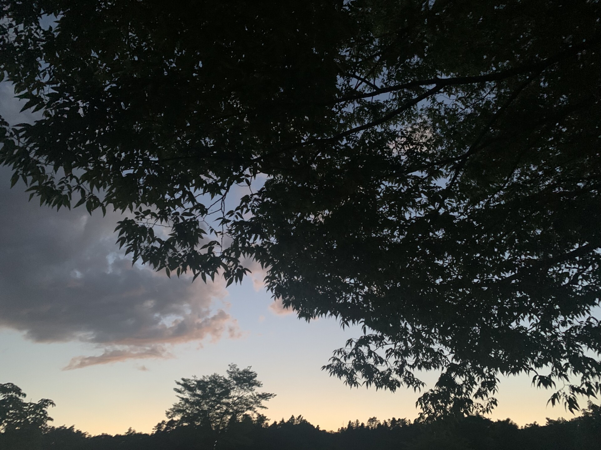 山形县南阳市“南阳DEたけはららキャンプジョー”露营地丨中国南阳丨隈研吾-16