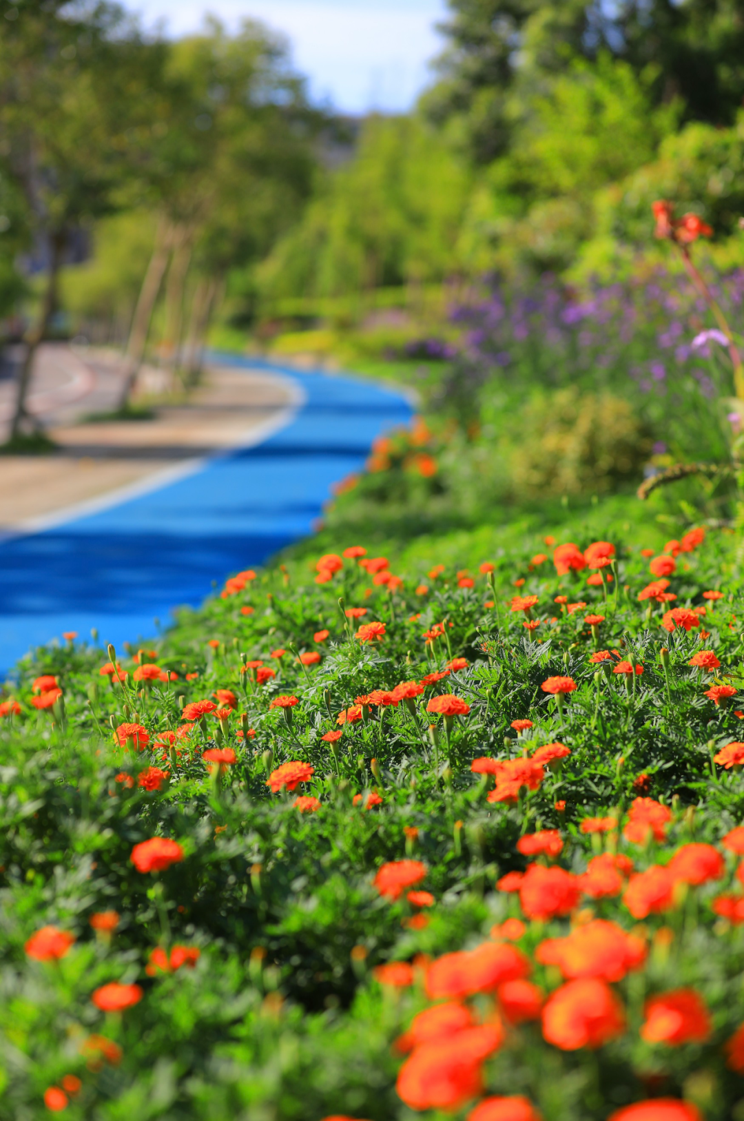 舟山长峙岛如心绿道丨中国舟山丨蓝颂设计-29