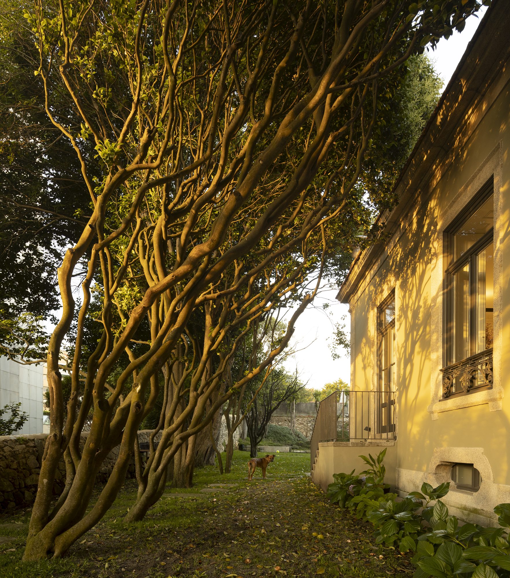 GC House | FCC Arquitectura-116