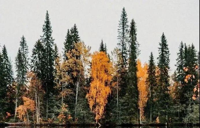 现代轻奢、现代、现代美式三宅品鉴,尽享家居生活美学-38