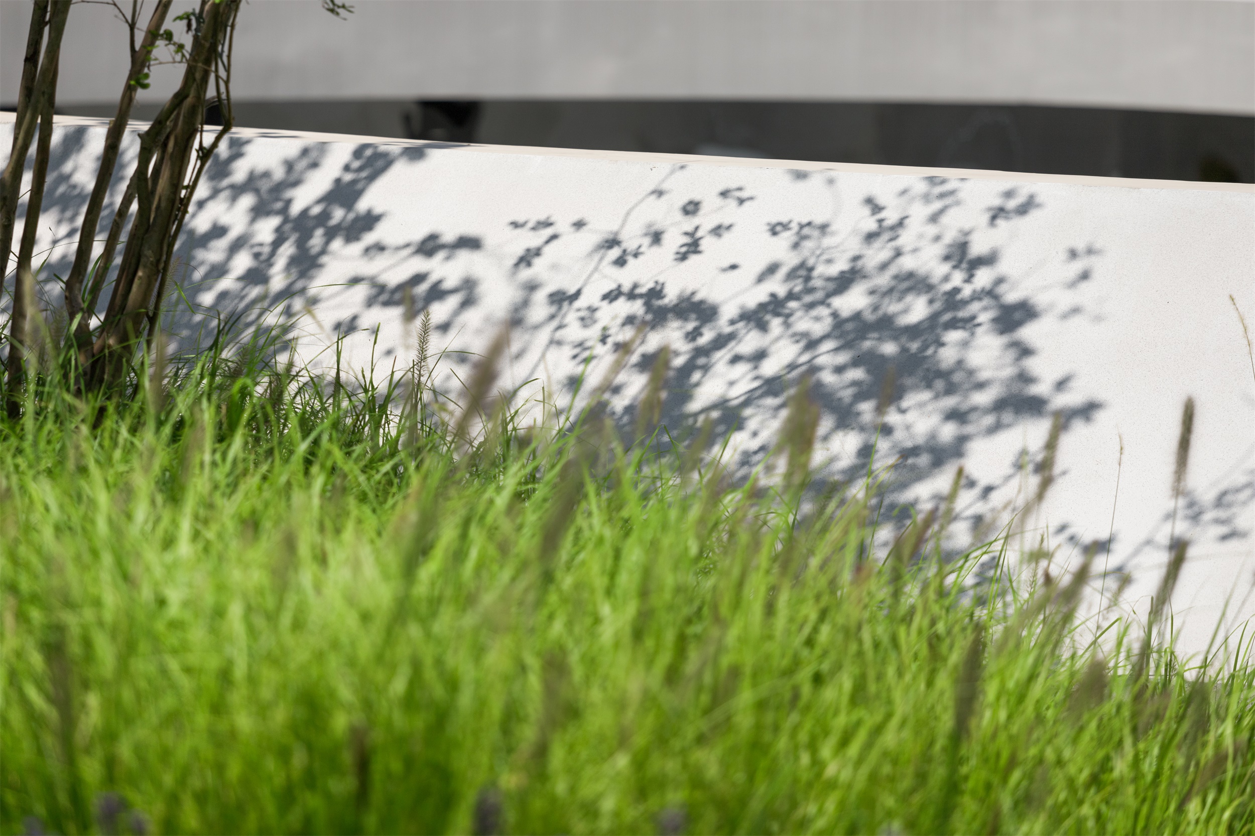 遇见-The Moment—江湾湖光印公园丨中国河源丨广州邦景园林绿化设计有限公司-8