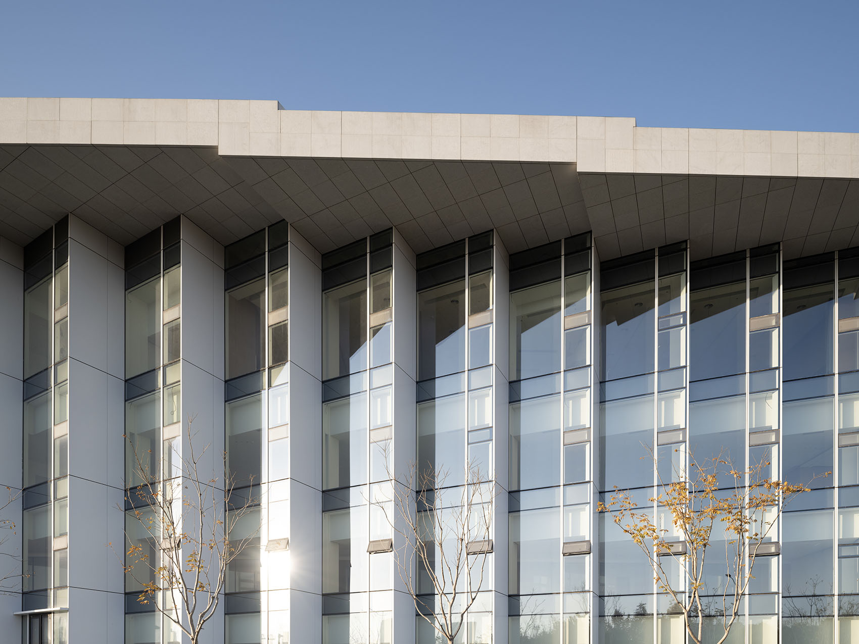 上海大歌剧院丨中国上海丨Snøhetta,华东建筑设计研究院有限公司等-16