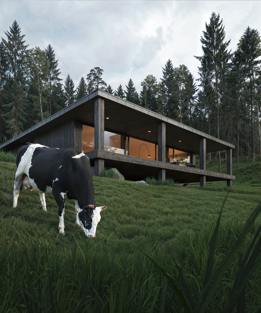 议员二号住宅(注:MP一般是Member of Parliament议员的缩写,这里结合语境推测是议员相关住宅,具体含义需根据更详细背景确定) 丨KRUK ARCHITEKCI-3