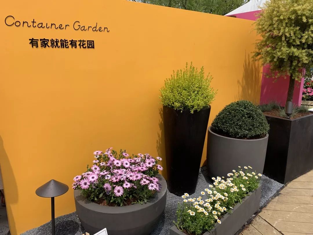 2019 西湖花园节创意花园设计亮点解读-83