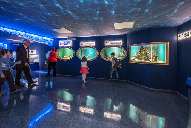 圣彼得堡海洋馆新展览创建项目丨俄罗斯圣彼得堡-14