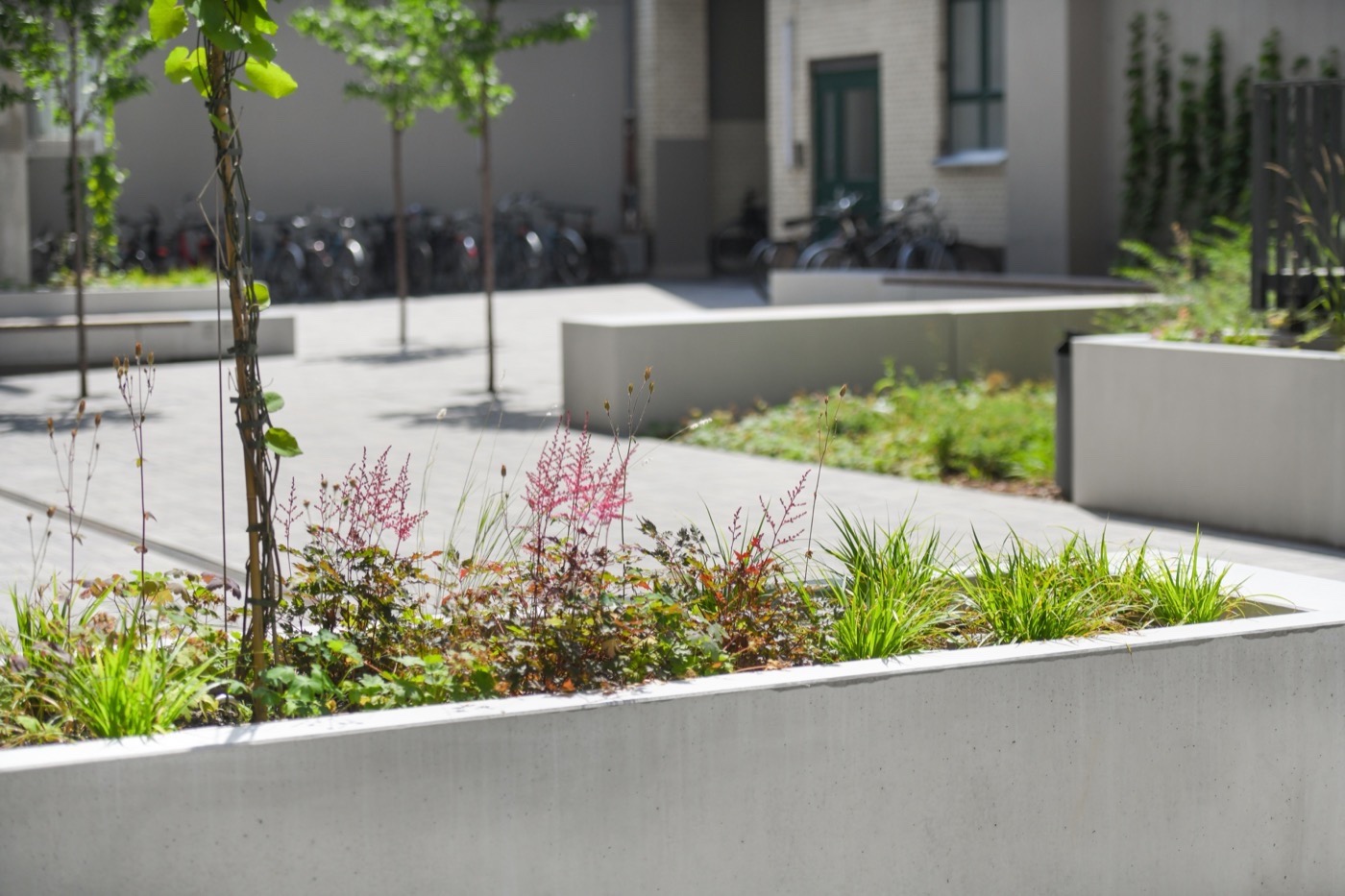 柏林 Kreuzberg 商业庭院与屋顶露台丨德国柏林丨Thomas Hillig Architekten-9