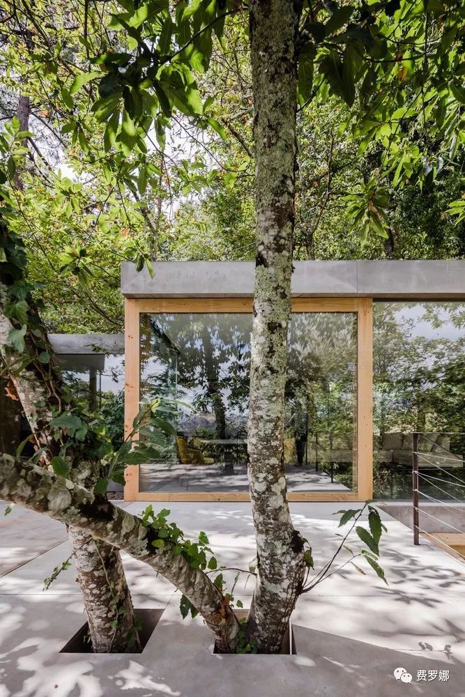 身处野外“隐藏的”房子-11