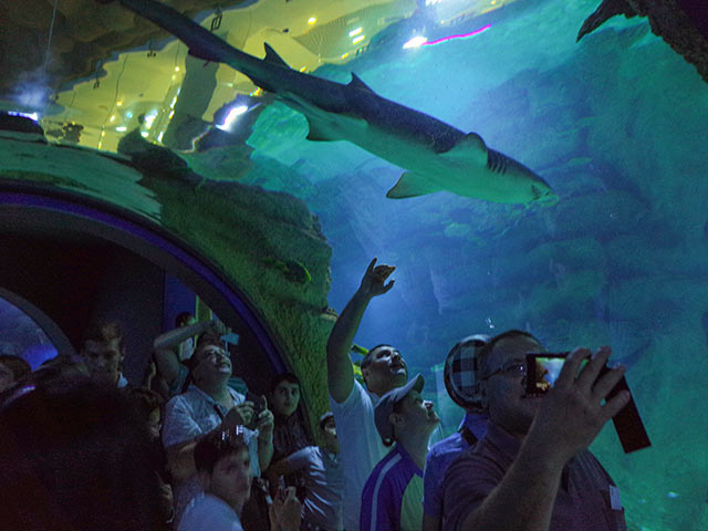 莫斯科海洋与生物中心“莫斯科水族馆”丨俄罗斯莫斯科丨Aqua Logo Engineering（暂译:水标工程公司）-16