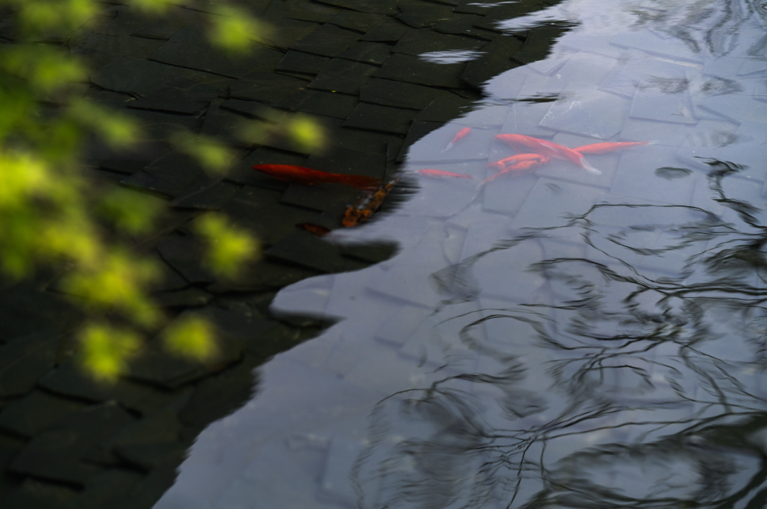 见山茶庐，与水、石、木自然生长的禅意空间 | ONE-CU壹方设计-7