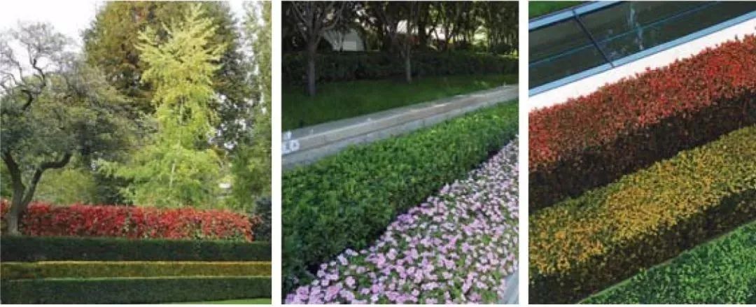 用植物营造空间氛围丨艺汉卿-22