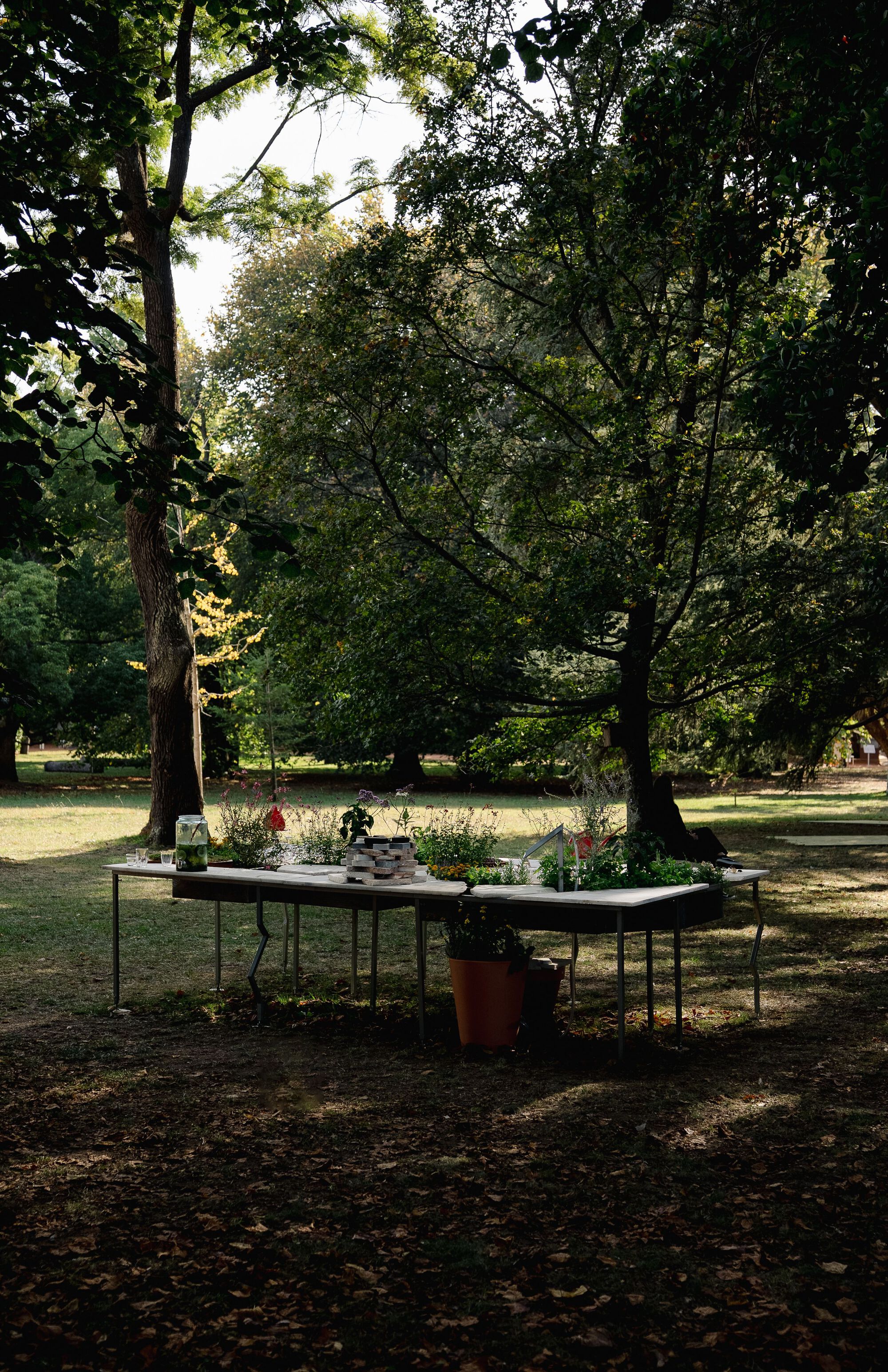 活体多物种厨房丨葡萄牙波尔图丨Fahrenheit Works-31