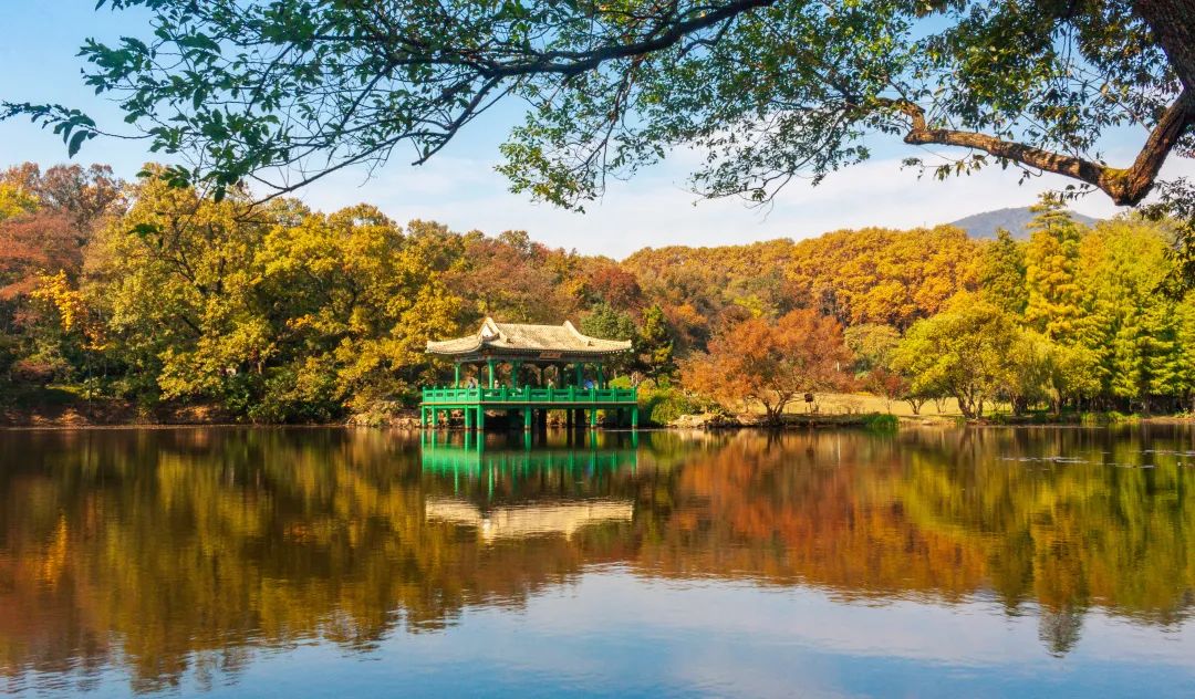 南京东方珍珠voco酒店丨中国南京丨洲际酒店集团-9