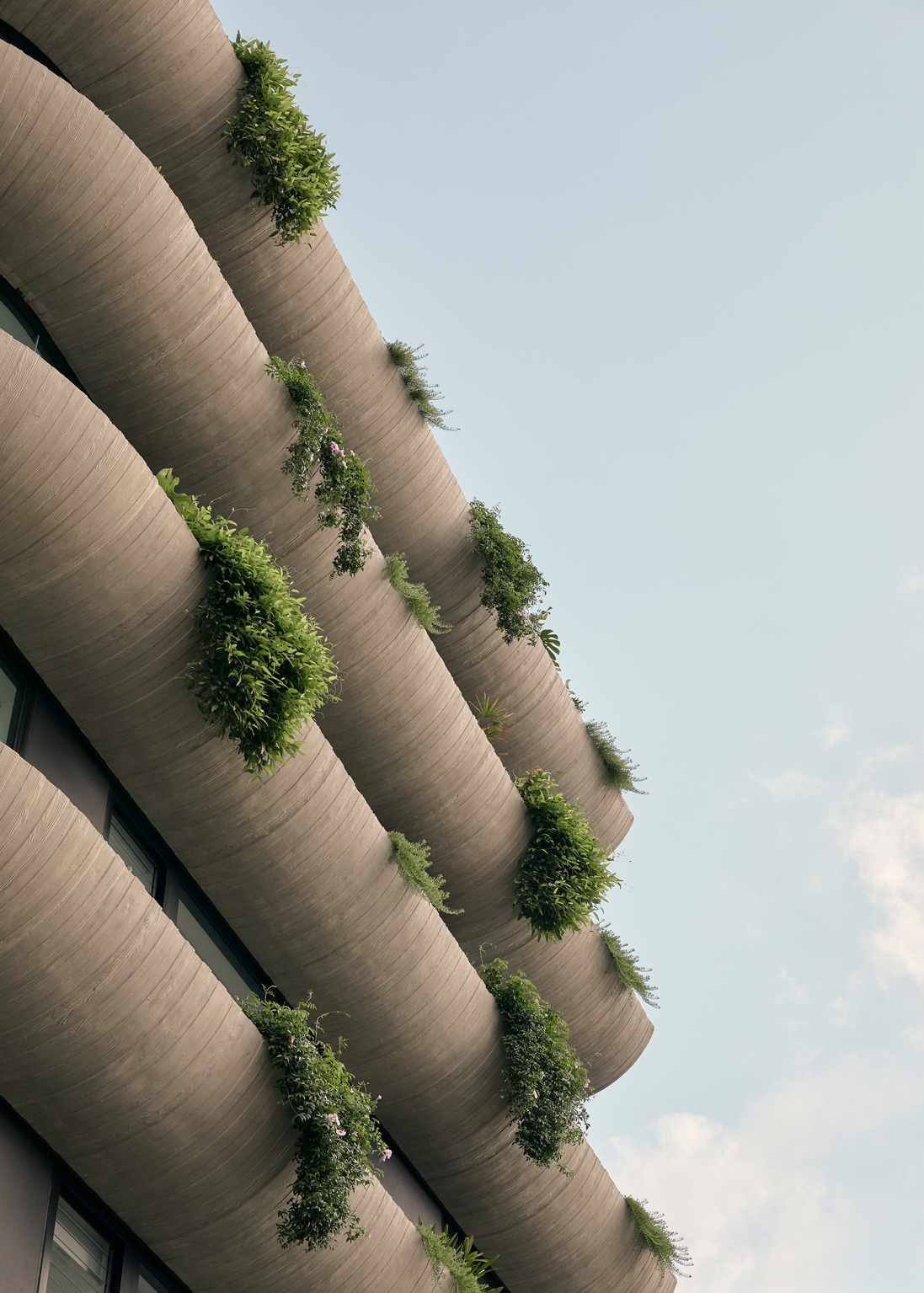 Maison New Farm 多层住宅丨JoeAdsettArchitects-5