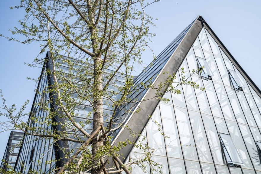 衡水植物园温室展览馆丨中国河北丨空格建筑-107