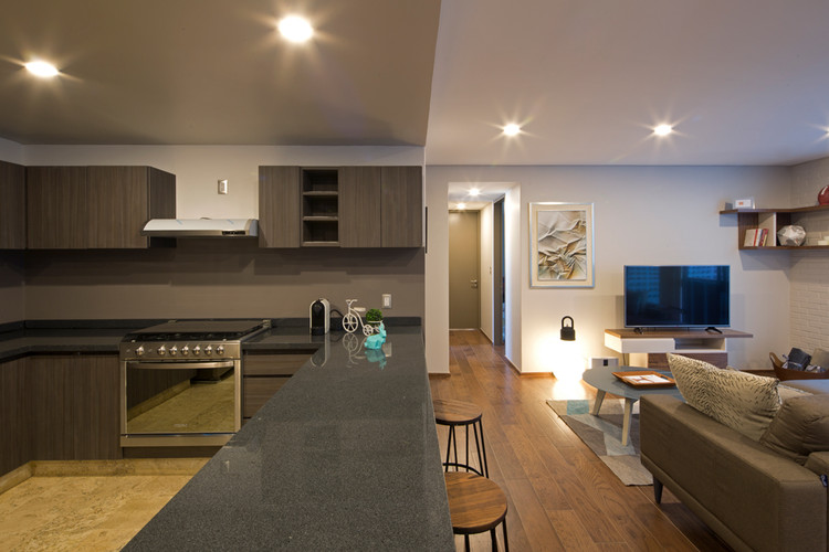 Barrank Building 墨西哥城南部公寓设计-59