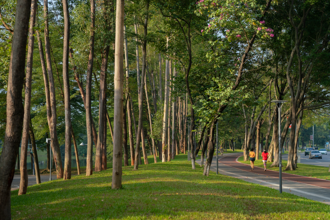 东莞松山湖通湖礼廊二期丨中国东莞丨Instinct Fabrication 本色营造-75