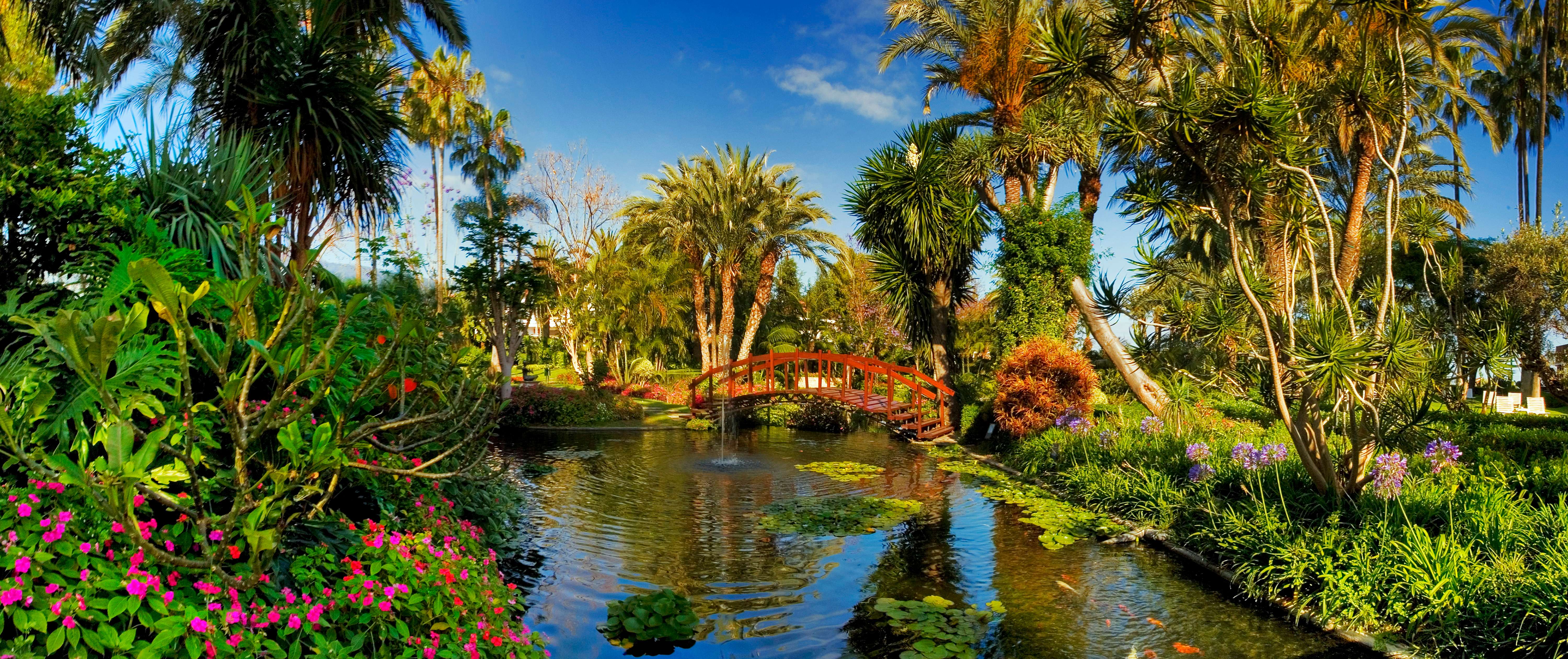 西班牙伯塔尼克酒店及东方SPA公园(特纳里费岛)-0