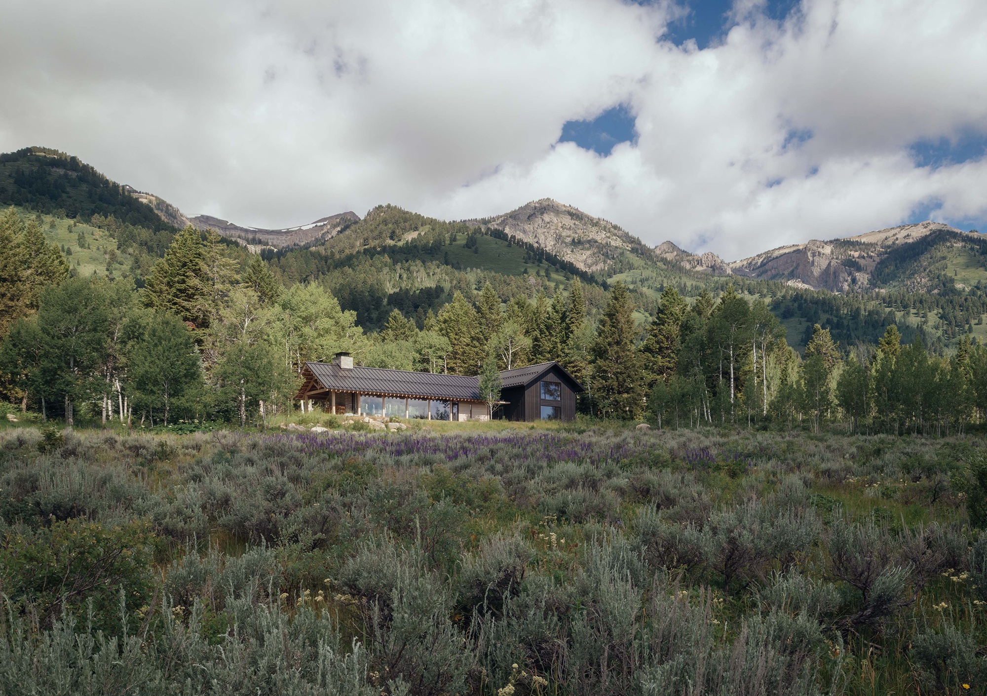 Snake River Cabin住宅丨美国怀俄明丨McLean Quinlan-3