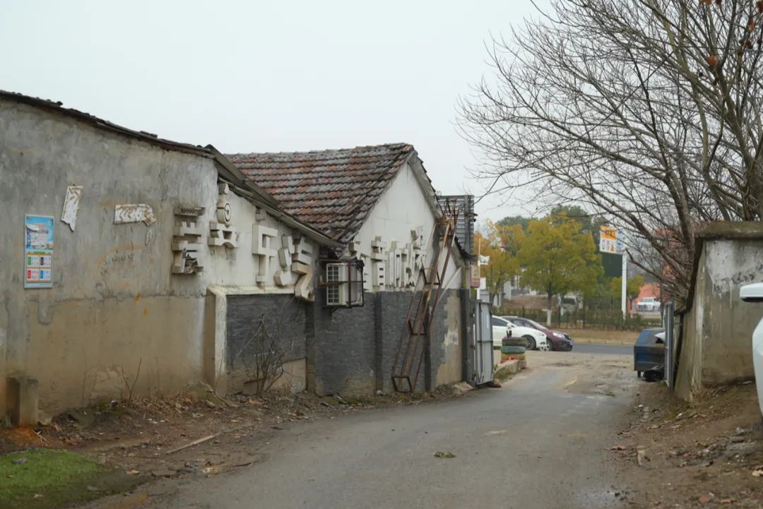 陈海峰  影像纪实 / 东湖之上-25