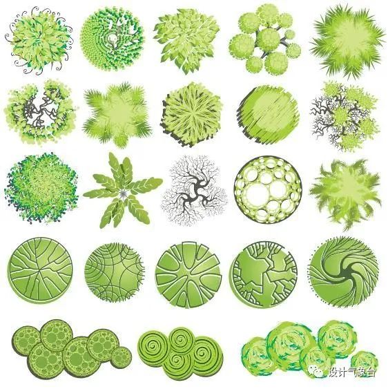 青春系彩平植物素材-45