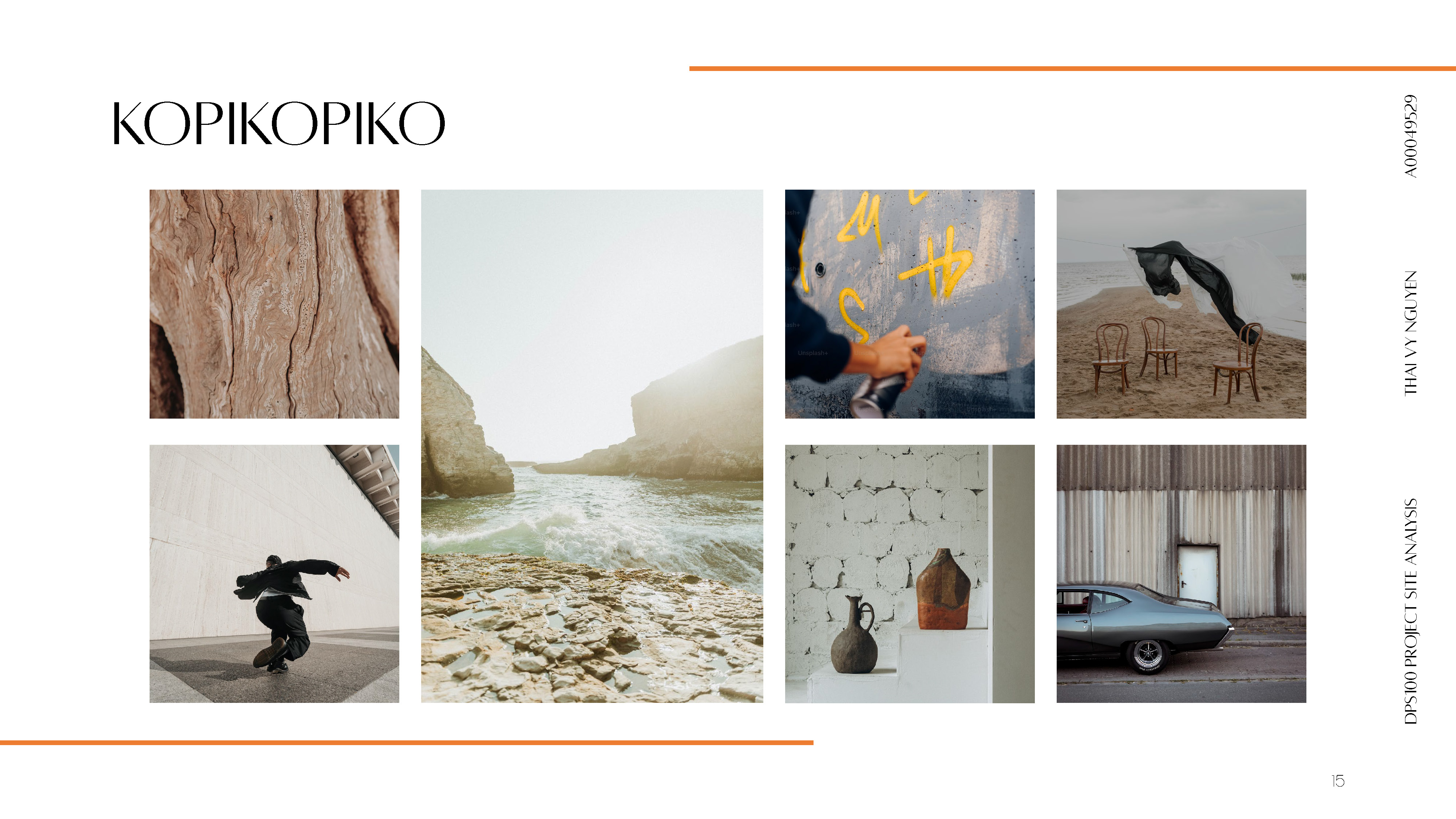 DPS100_Project Site Analysis: Assessment 3-12