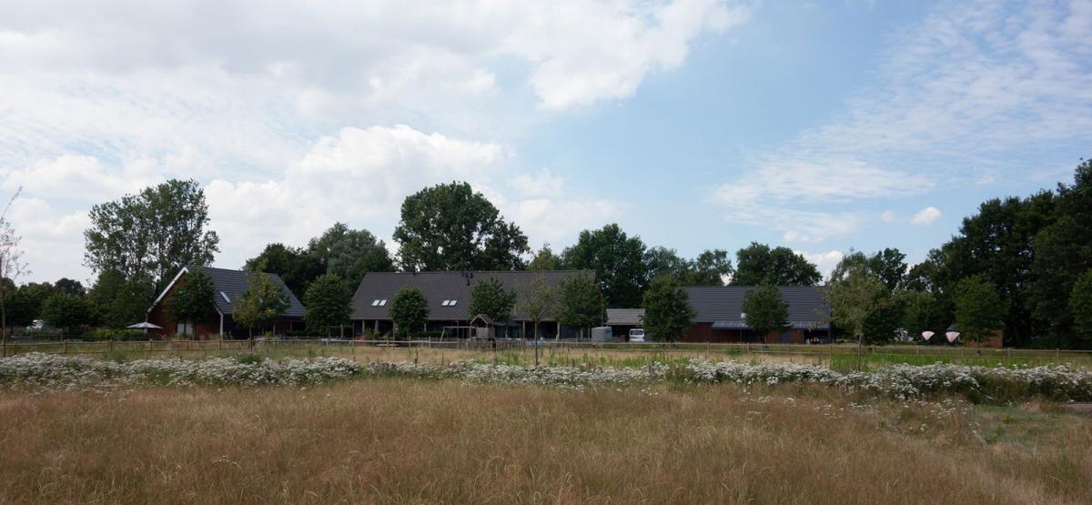 丨荷兰丨Bureau B+B,LOOSvanVLIET-8