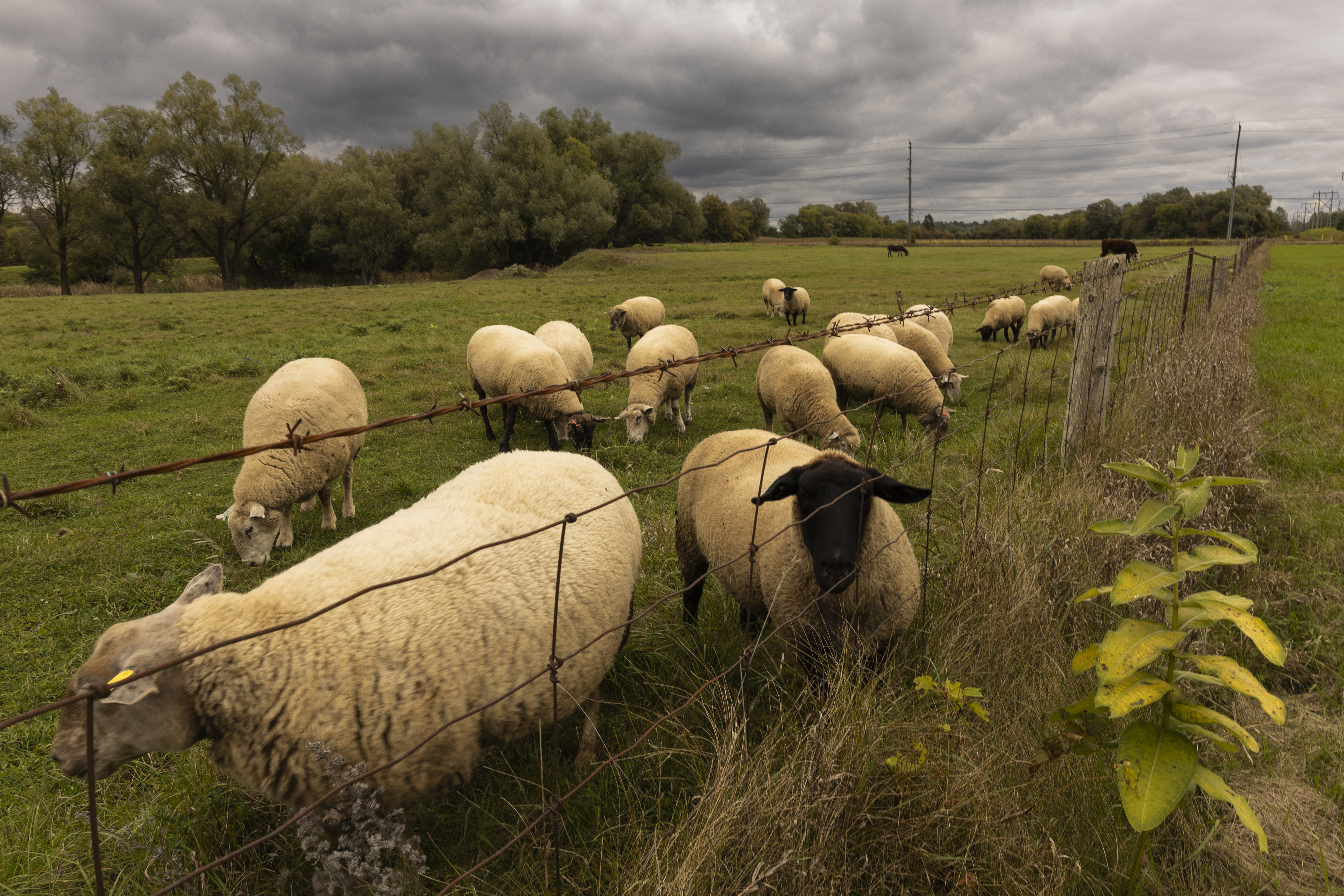 风景摄影作品集丨无相关信息-2